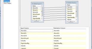 Microsoft SQL Server Integration Services (SSIS) 4