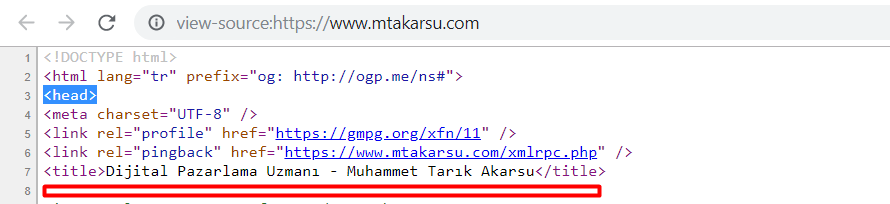 Hotjar Header Kod Ekleme